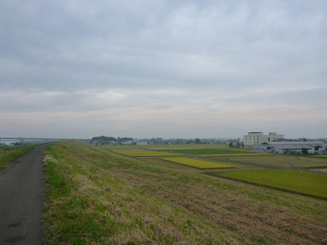 2020-10-04-299.jpg