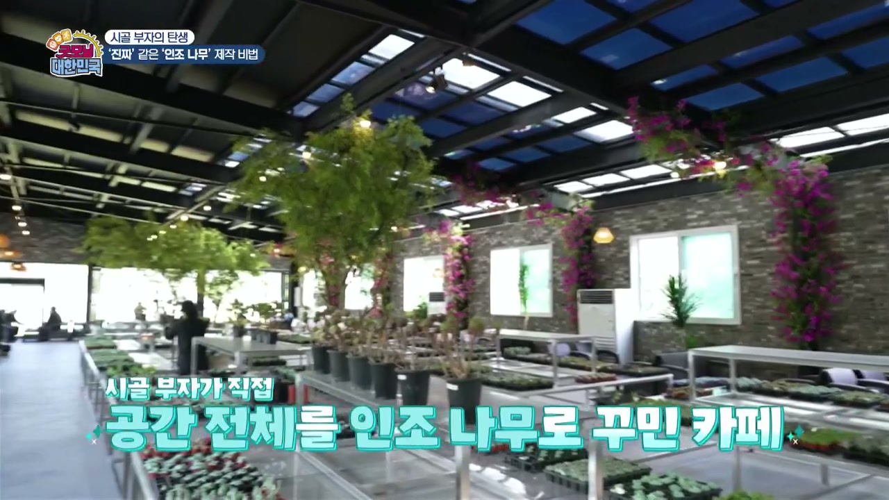 굿모닝대한민국 고양 인조나무 추가 캡처 4
