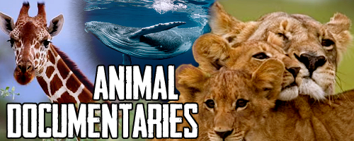 Animal-Documentaries.png