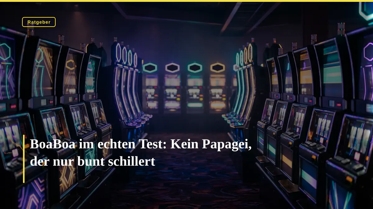 BoaBoa im echten Test: Kein Papagei, der nur bunt schillert