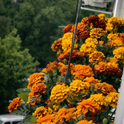 IMG 20260604 192549