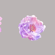 Adobe-Stock-393341600