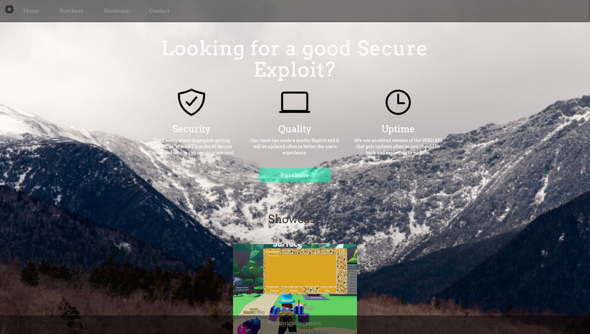 Forensic screenshot of [REDACTED] showing the phishing page layout