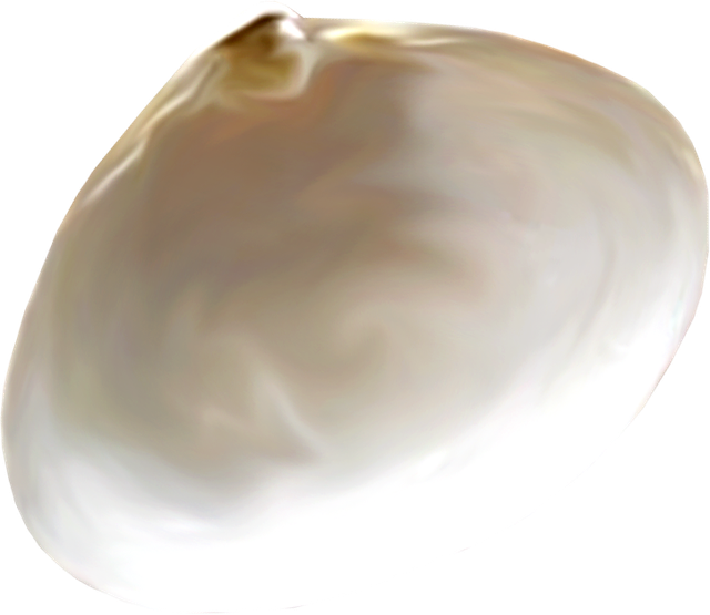 03-653623