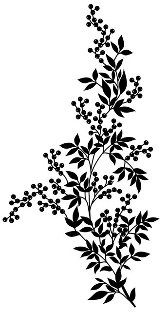 ff0d0a6932d0c72815c1e7b282e93274.png