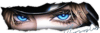 https://i.ibb.co/FfX69Kz/IMG-1036.png