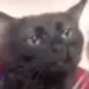 1130172867640832091