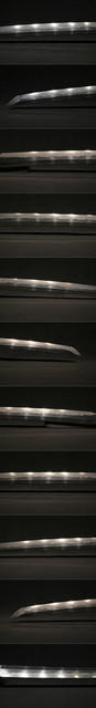 DSC0652.jpg