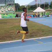 IMG-8147