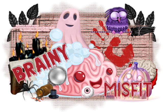 blank-brainymisfit