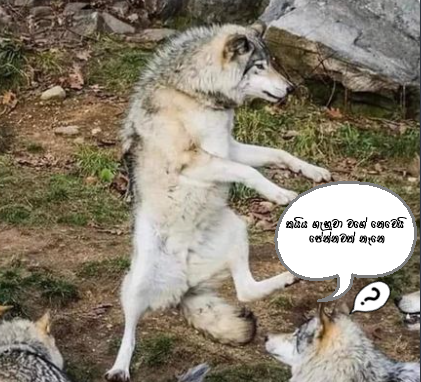 fc.png