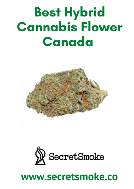 Weed-Dispensary-Canada-Secretsmoke-3