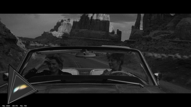 gamut-THELMA0095