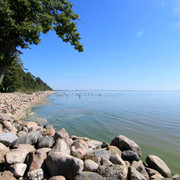 IMG-1601