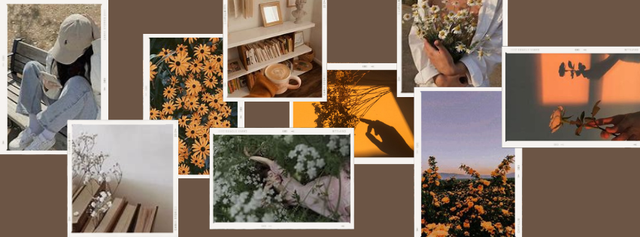 Untitled-design-2