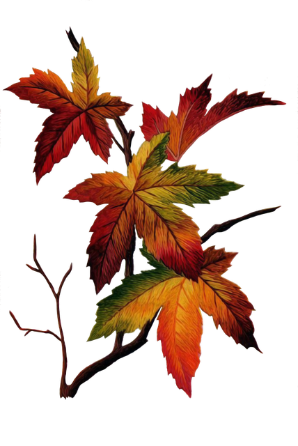 df1d6c53746c6cbb375ccdd68a309424.png