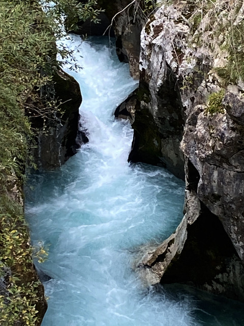 IMG-3252.jpg
