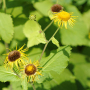 DSC5498