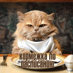 24-korm-1-2.png