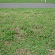 2010-06-24-014