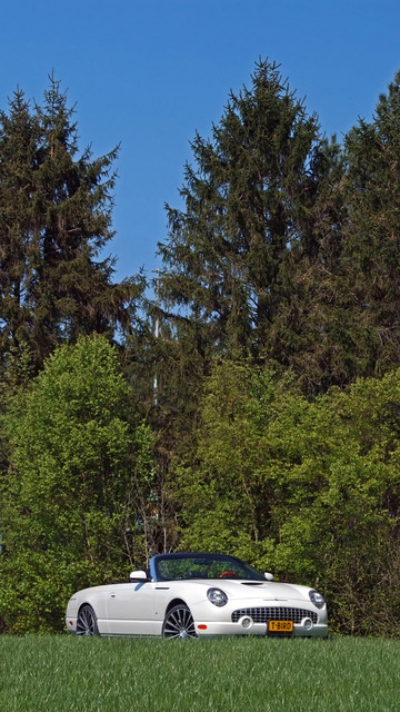 DSCF5709.jpg
