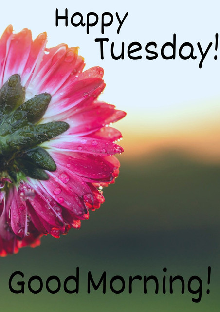 tuesday-9