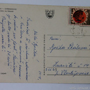 IMG-6368