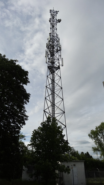DSC01589