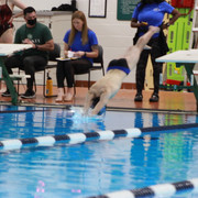 IMG-0336