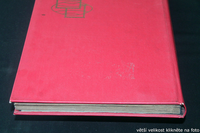 IMG-2464.jpg
