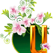 u