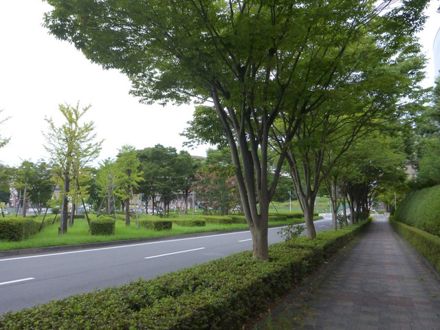 P1340939.jpg