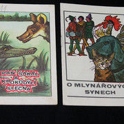 IMG-2541