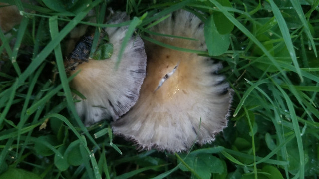 20190908-071625