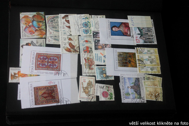 IMG-2437.jpg