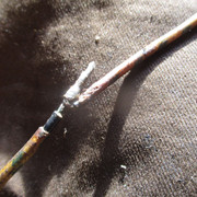 IMG-8713
