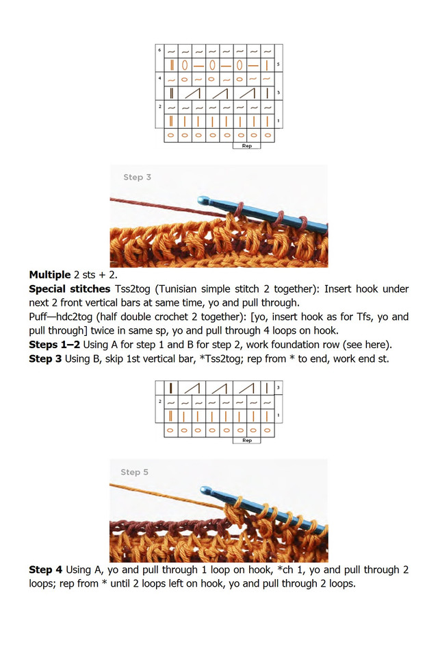 Nikipirowicz-Anna-Tunisian-Crochet-Stitch-Dictionary-2023-137