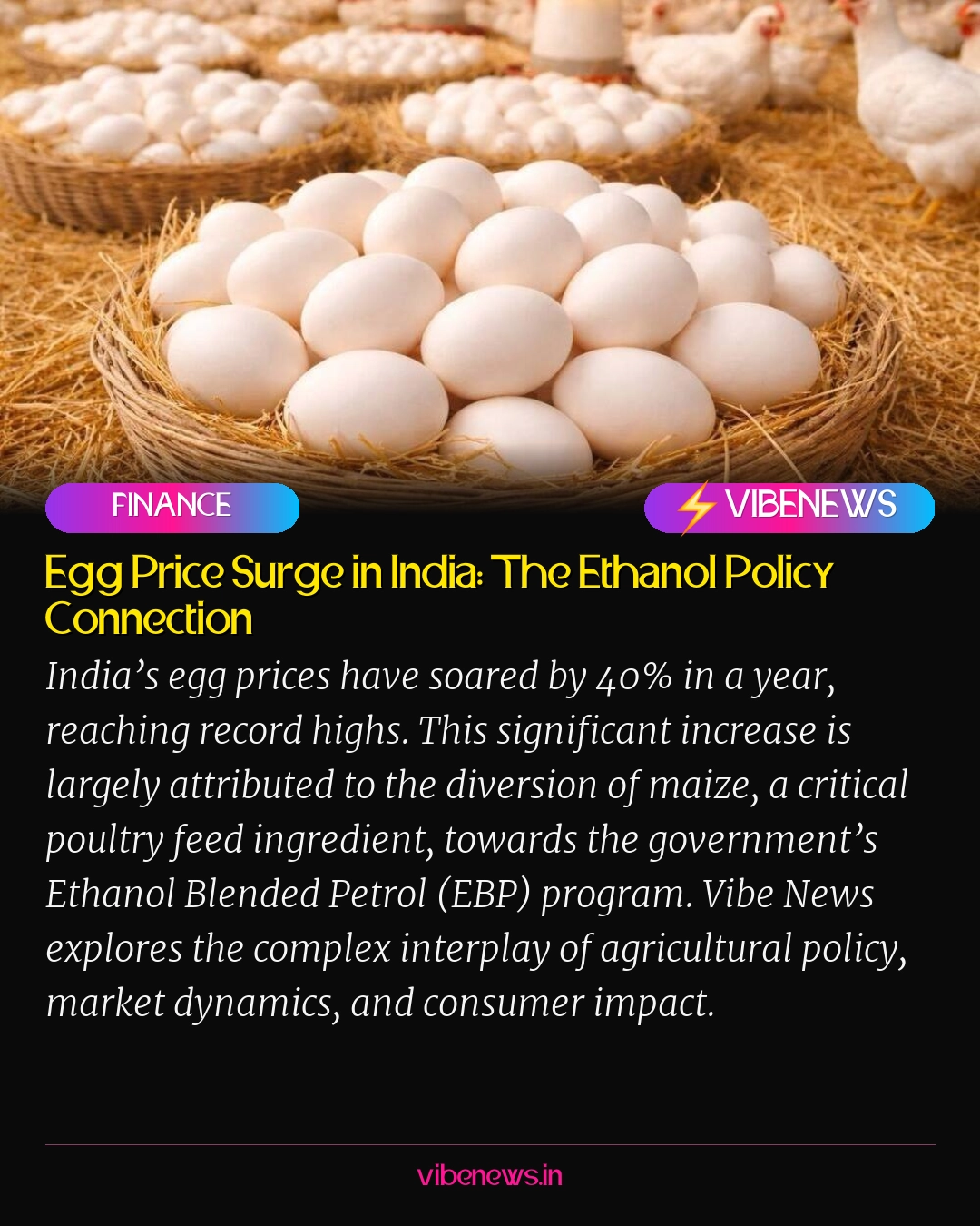 Egg Price Surge in India: The Ethanol Policy Connection