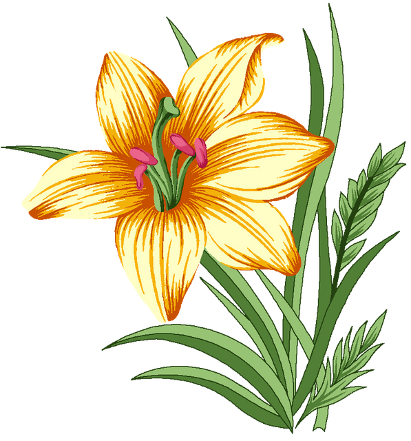 94a1c54c438465e07bb8a3bca428f0f7.png