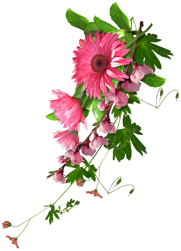 pngegg (6).png