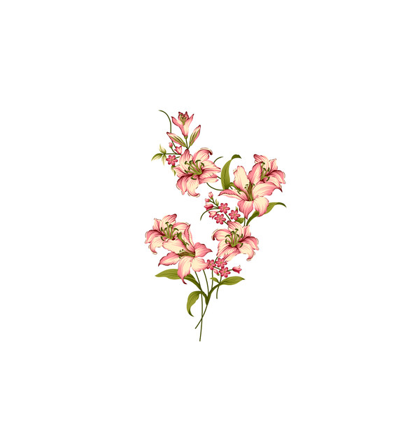 shutterstock 1765608728.jpg