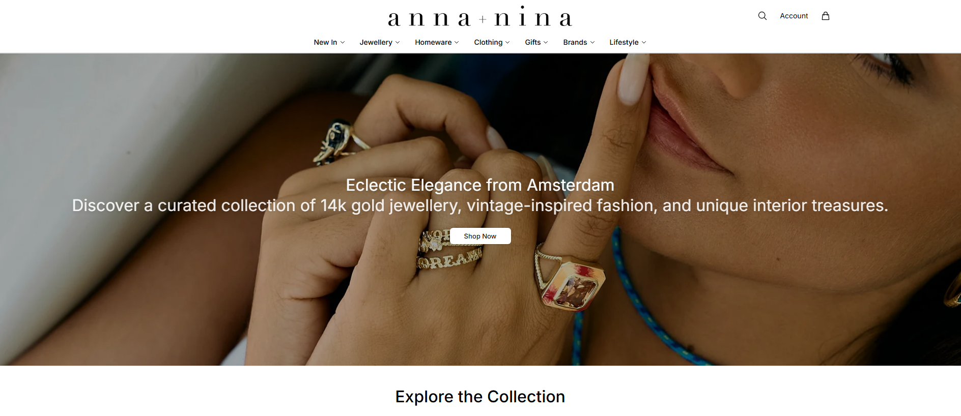 Stored capture of annaninastore.shop