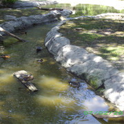 IMGP2781