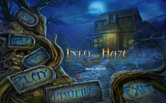 Into The Haze.jpg