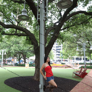 IMG 5416