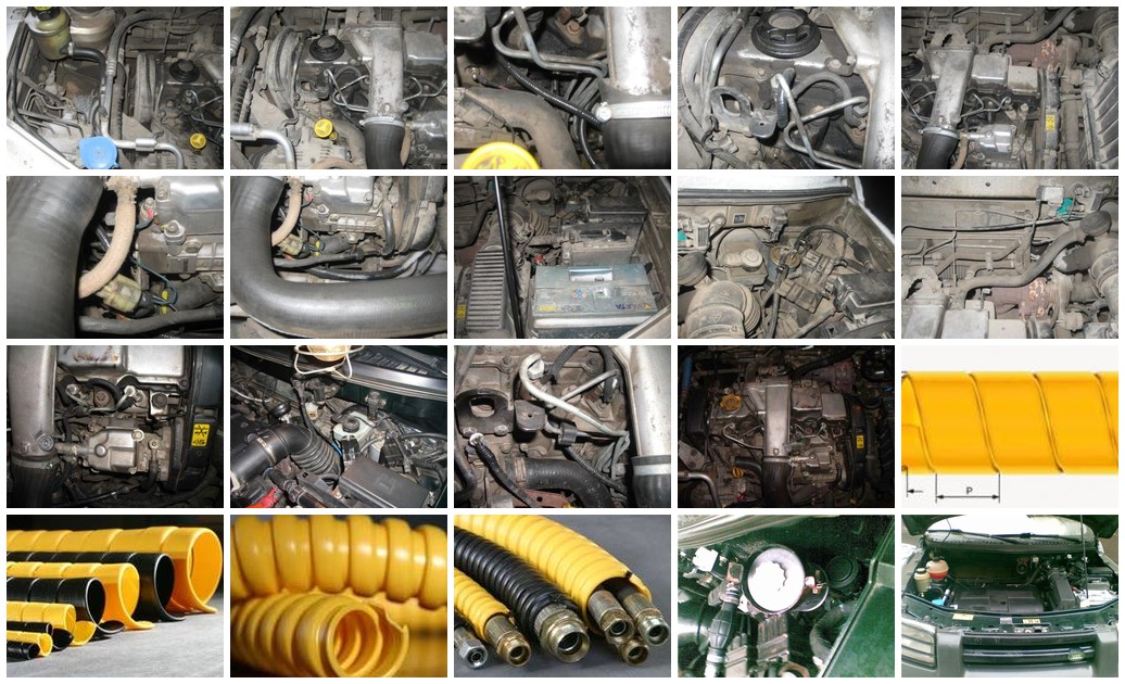 https://i.ibb.co/FkHHP0Zx/513-collage.jpg
