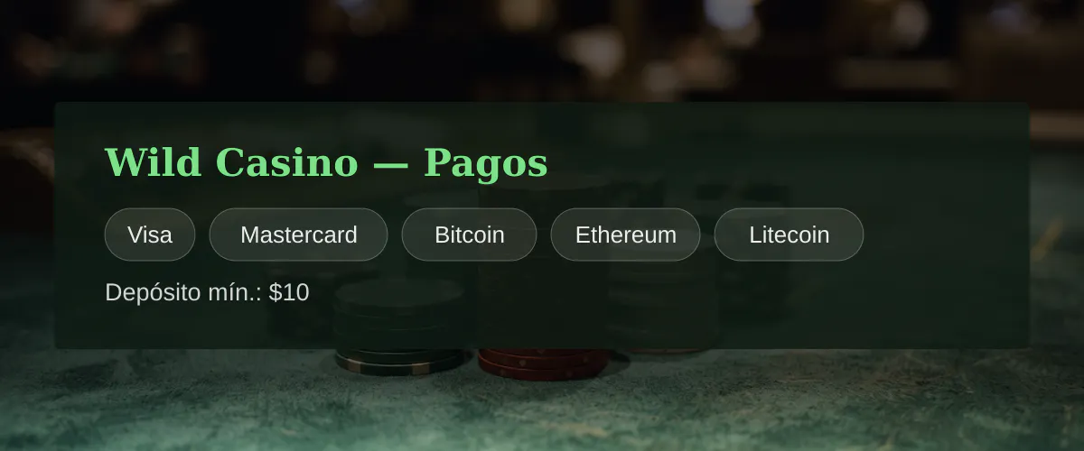 Wild Casino — Pagos: Visa, Mastercard, Bitcoin, Ethereum, Litecoin