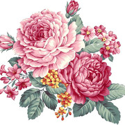 90bfc0877ebad73ff4989e73cf58844d-Copy