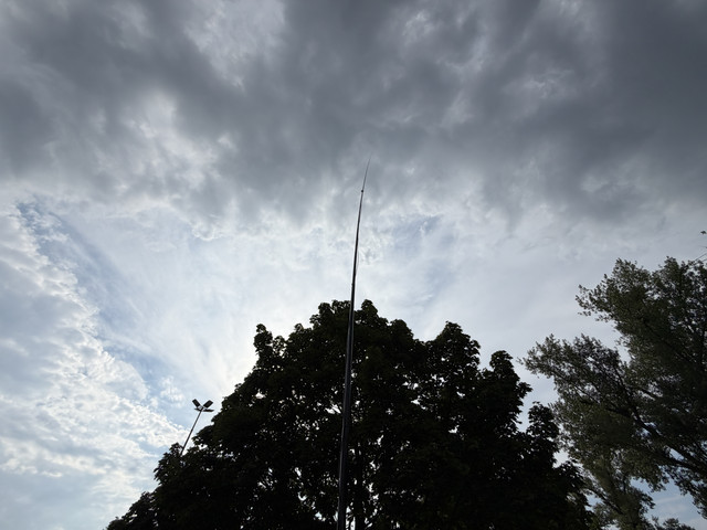 IMG 7236.jpg