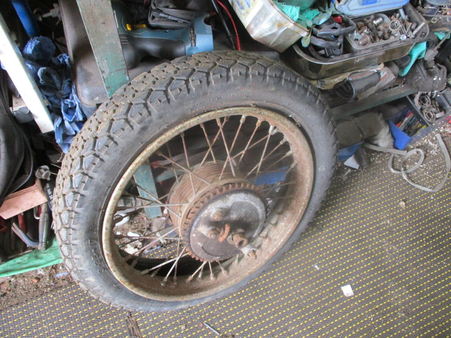 IMG-5938.jpg